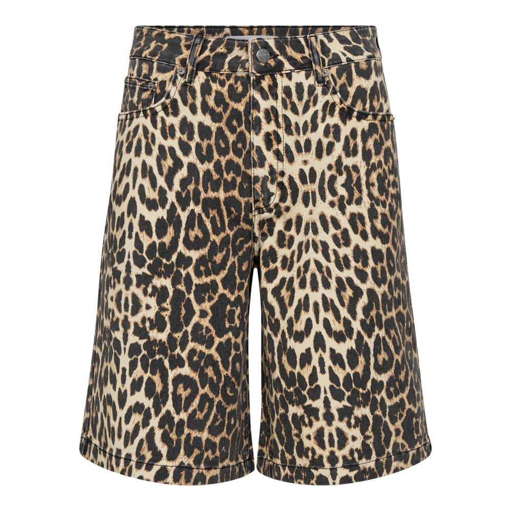 31540-LeoCC-Bermuda-16-01